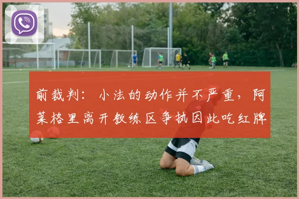 前裁判：小法的动作并不严重，阿莱格里离开教练区争执因此吃红牌